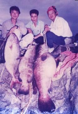 基隆嶼釣起的大石斑與大牛港