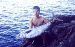 50斤重的大疏齒