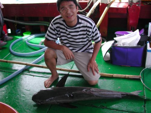 電波釣魚網 廿三斤懵仔